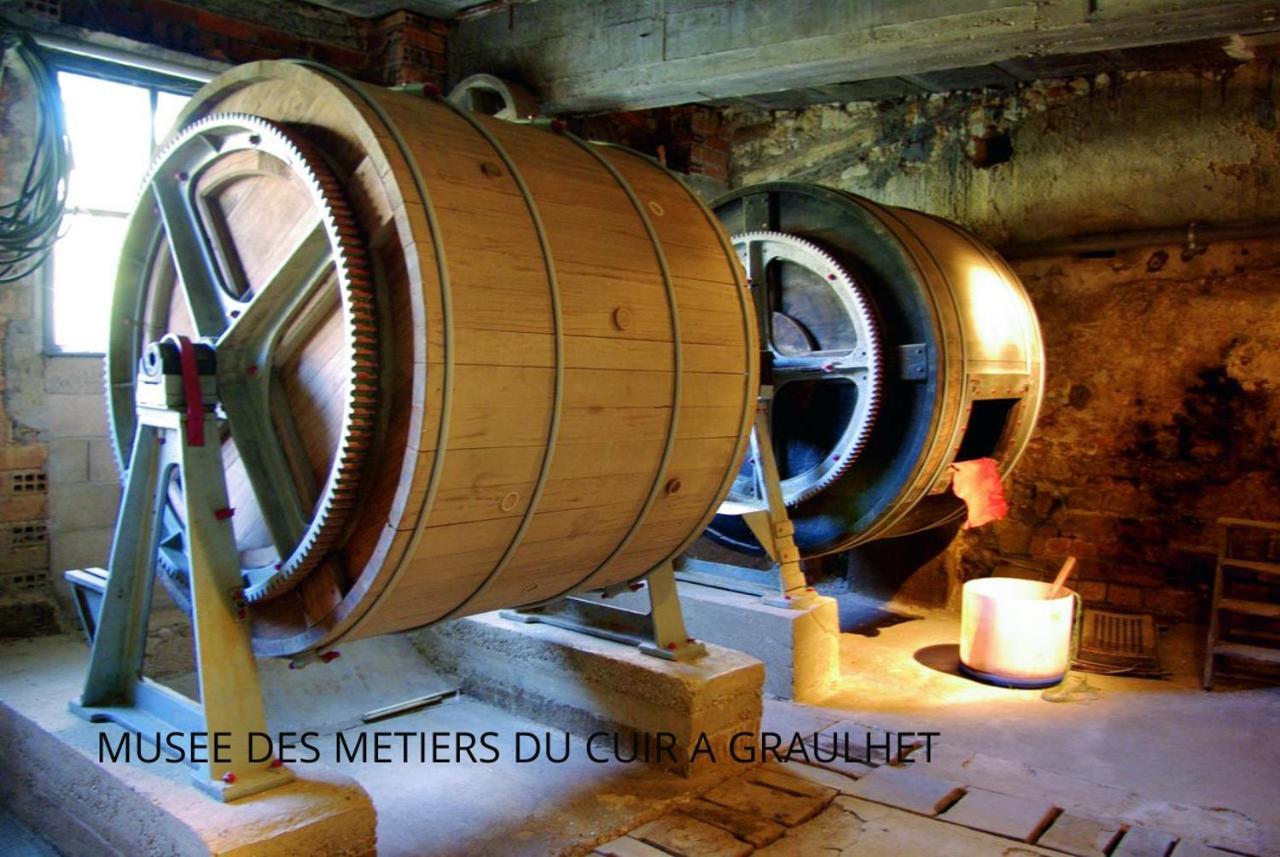 Loft Cosy - Hypercentre - Sauna - 200M2 - Wifi Graulhet 외부 사진